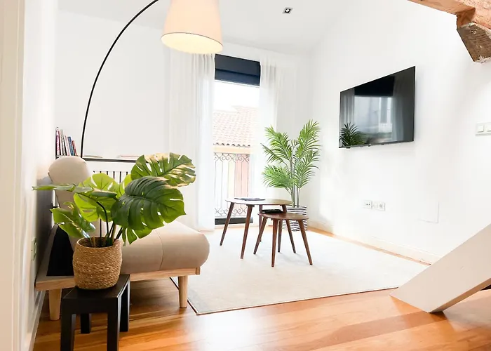 Centrico Recien Reformado. * Santander